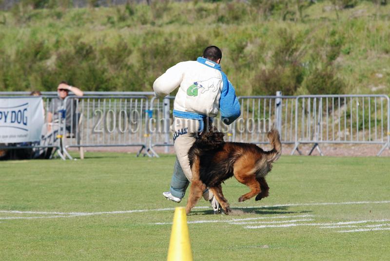 3 EME SELECTIF 2009 GRANDE SYNTHE 283.jpg